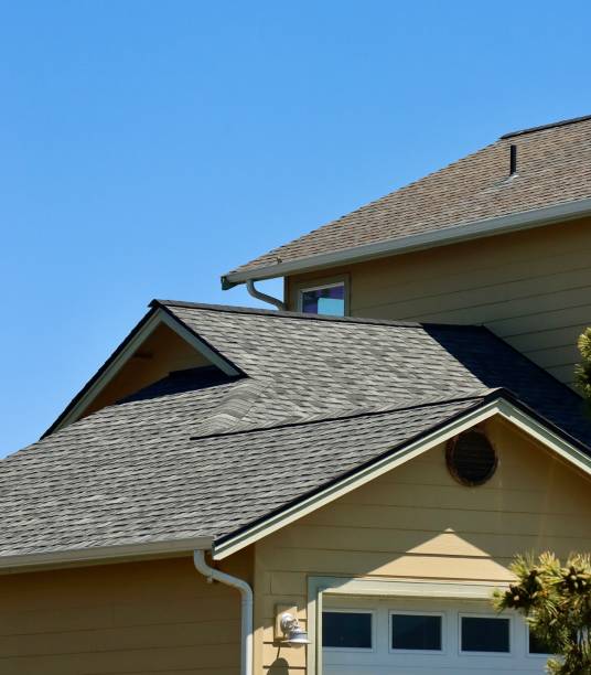 Best Gutter Installation and Repair  in Oglethorpe, GA